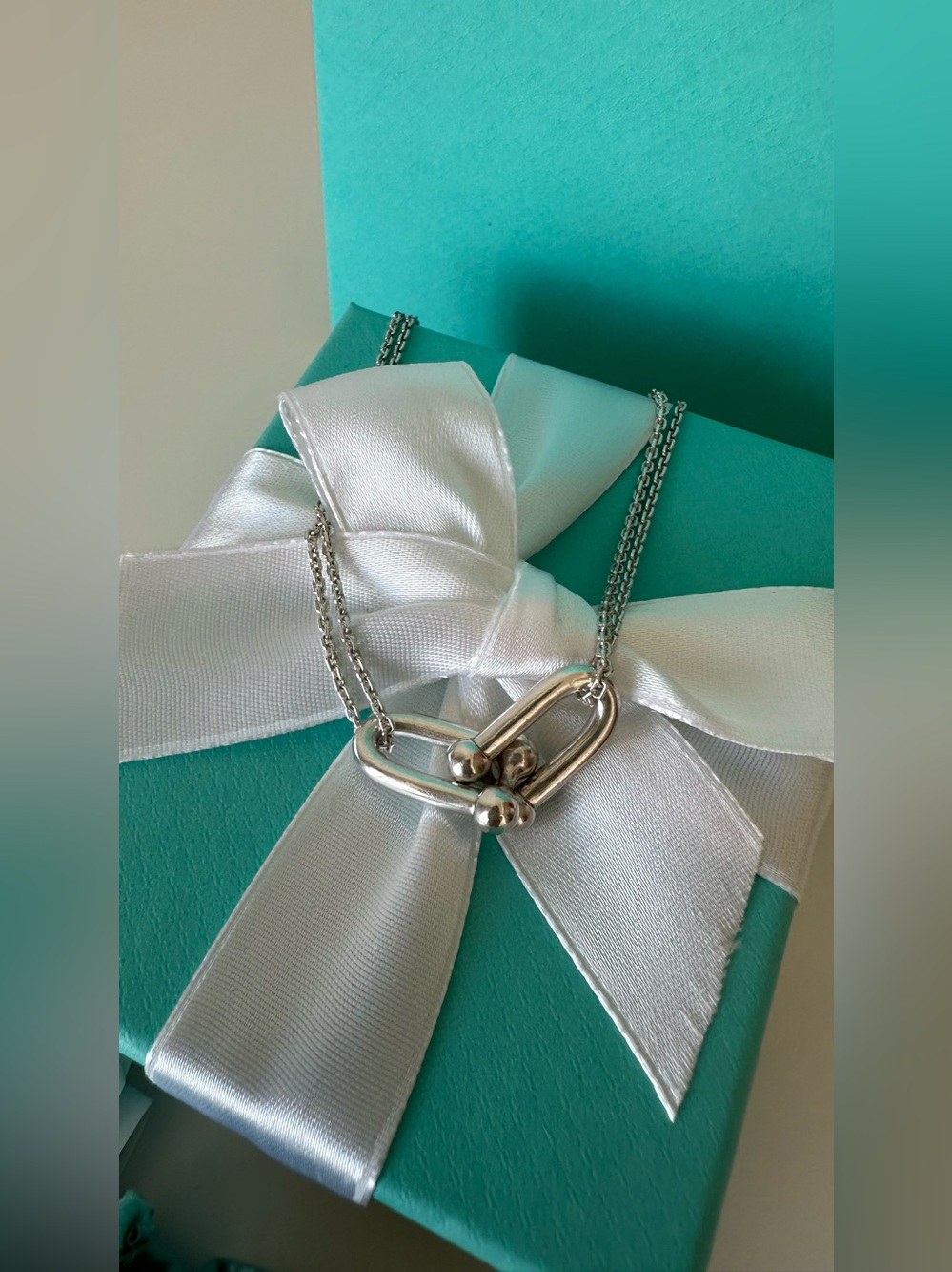 Tiffany & Co. HardWear Large Double Link Pendant Necklace Silver $1,200 Box Bag